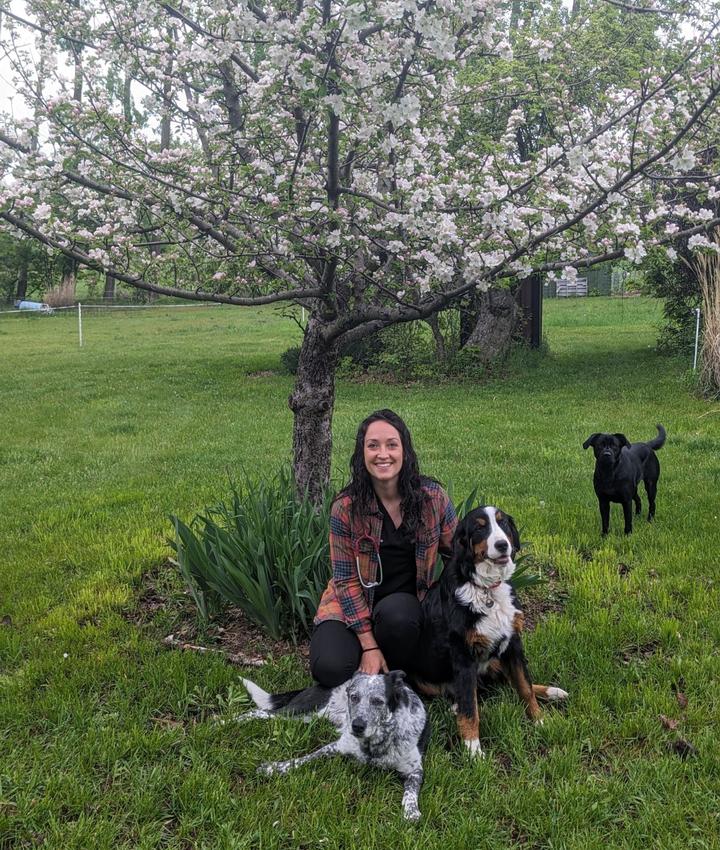 Kathryn Vivirito DVM | Country Veterinary Clinic